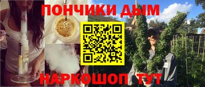 индика Обь