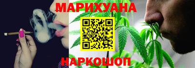индика Обь