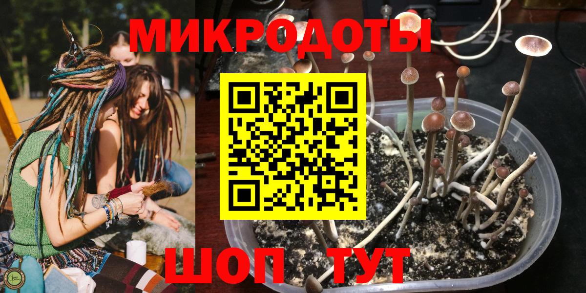 ЭКСТАЗИ Ржев